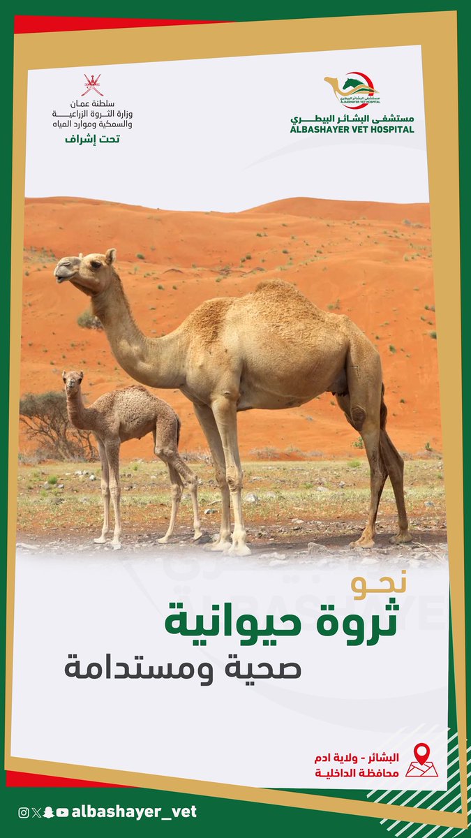 نحو ثروة حيوانية صحية ومستدامة
#مستشفى_البشائر_البيطري