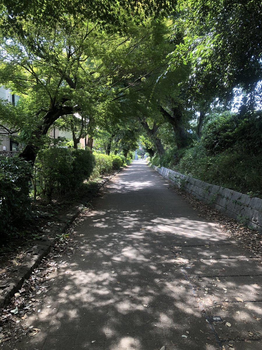 travelandmusic1's tweet image. 昨日は冷たい雨☔️でしたが
今日は ぽかぽか☀️
台風の影響が心配ですが
お気をつけてお越しください🙏