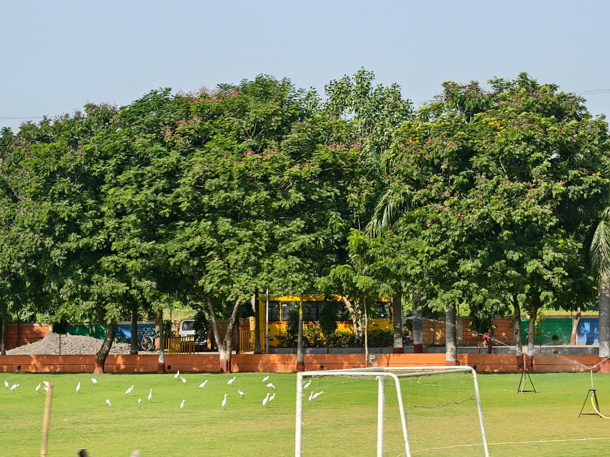 yagnesh83's tweet image. Random click 
#Myclick