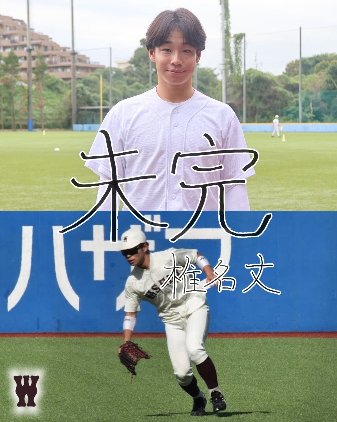 2003年　早稲田大学野球部　サイン色紙 2003年 早稲田大学野球部 サイン色紙 2003年 早稲田大学野球部