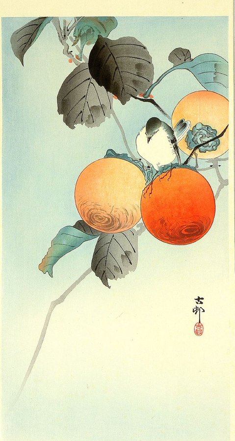 "Don't forget, sweet persimmon, 
 Your younger days when 
 You were still bitter."   Soseki Natsume

  [Shunso Hishida / Koson Ohara]