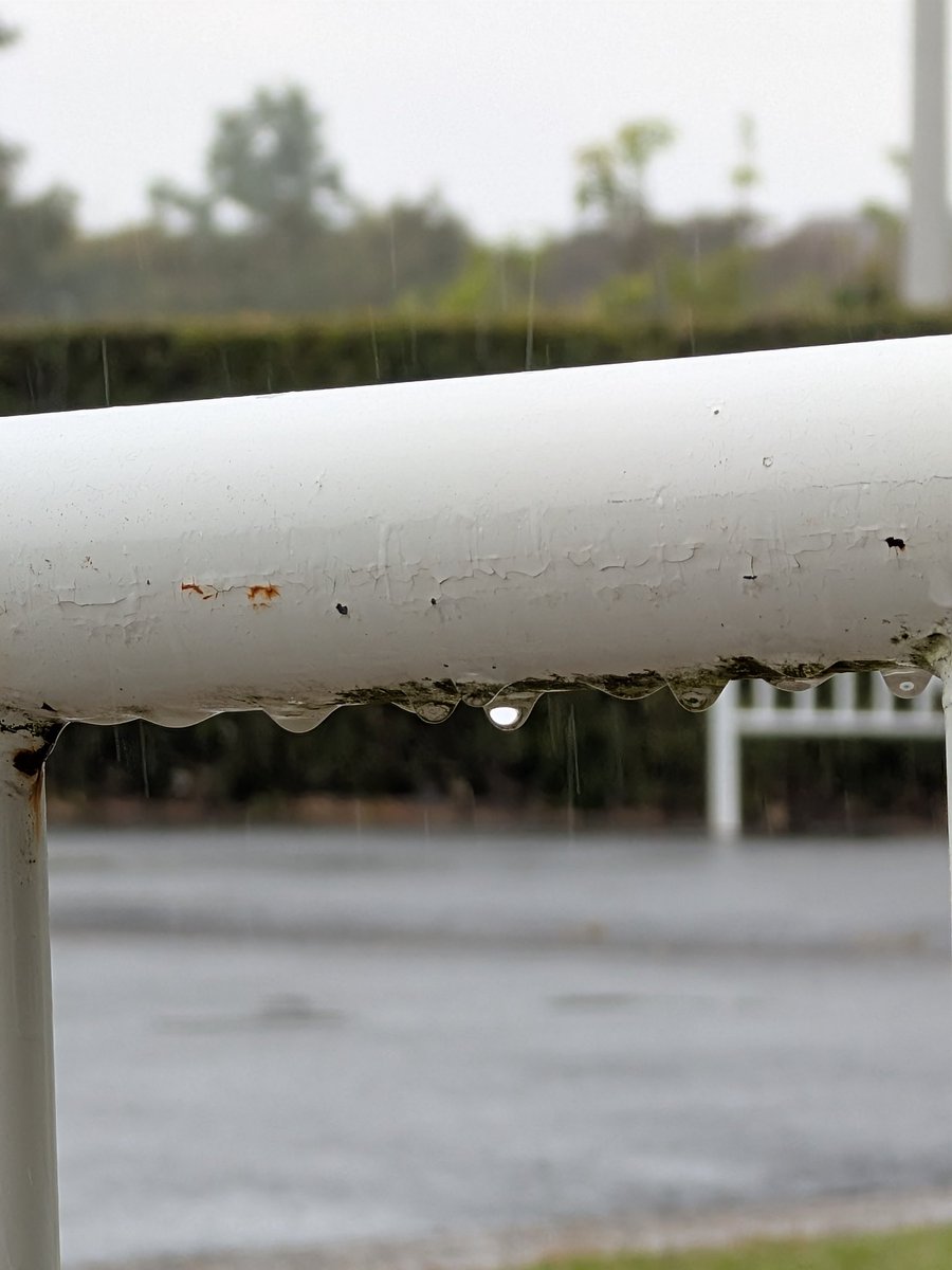 redcats731's tweet photo. めっさ雨やん⋯ https://t.co/upLWNp37gY