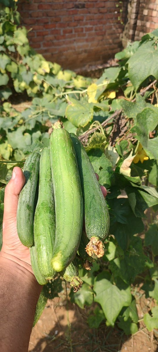 NocodeTalks's tweet image. Can I file my ITR as &quot;farmer&quot; now?