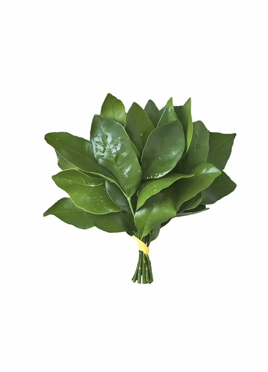 coraaaaa tweet media