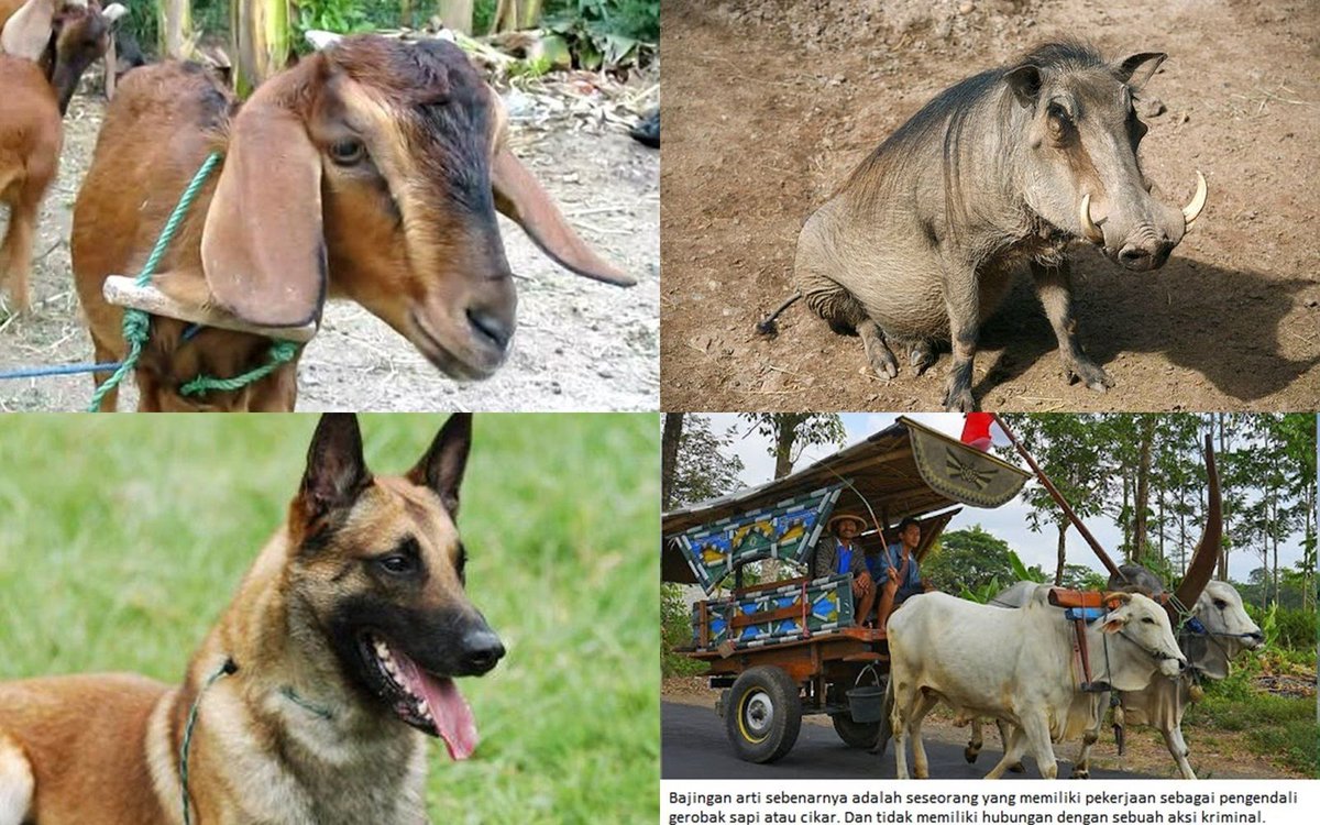 Cah Wonogiri ⚽🇮🇩 (@cahwonogiri1980) on Twitter photo 