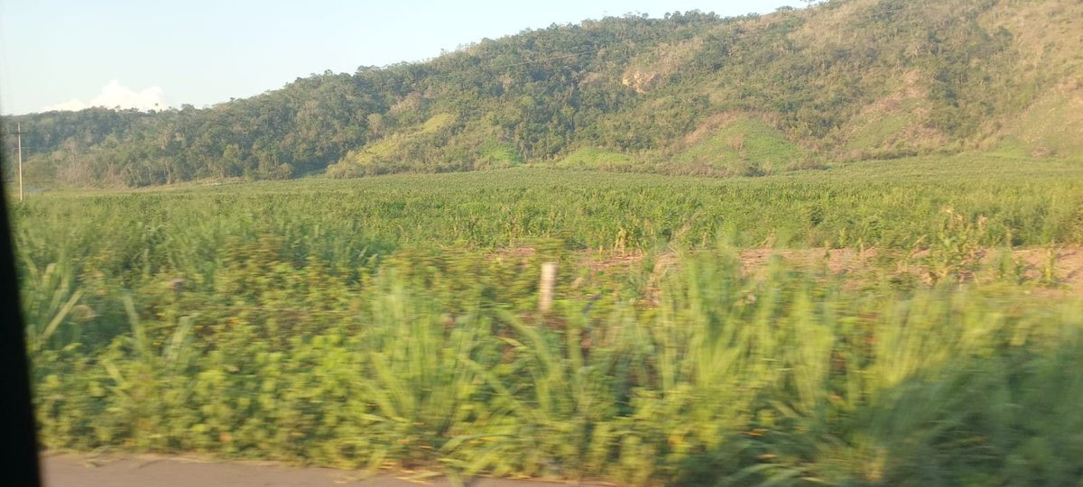 Apojema99's tweet image. Alo, que onda todo, volví de mi desaparecida y tengo que decir que estoy muy feliz :D, el mejor viaje que he hecho en mi vida, demasiadas risas y momentos inolvidables que he compartido con mis amigos, ya mucho relajo estos días, que bonito es disfrutar de la vida, gn!