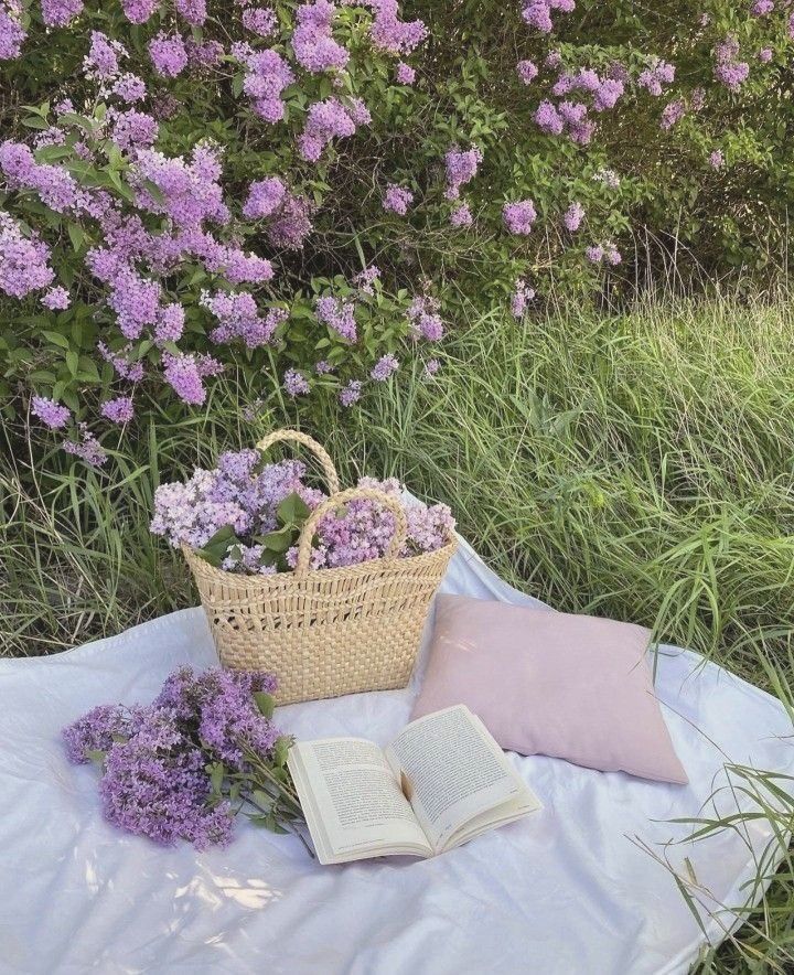 Nyx¹ | booktwt + filmtwt⋆.𐙚 ̊ tweet media