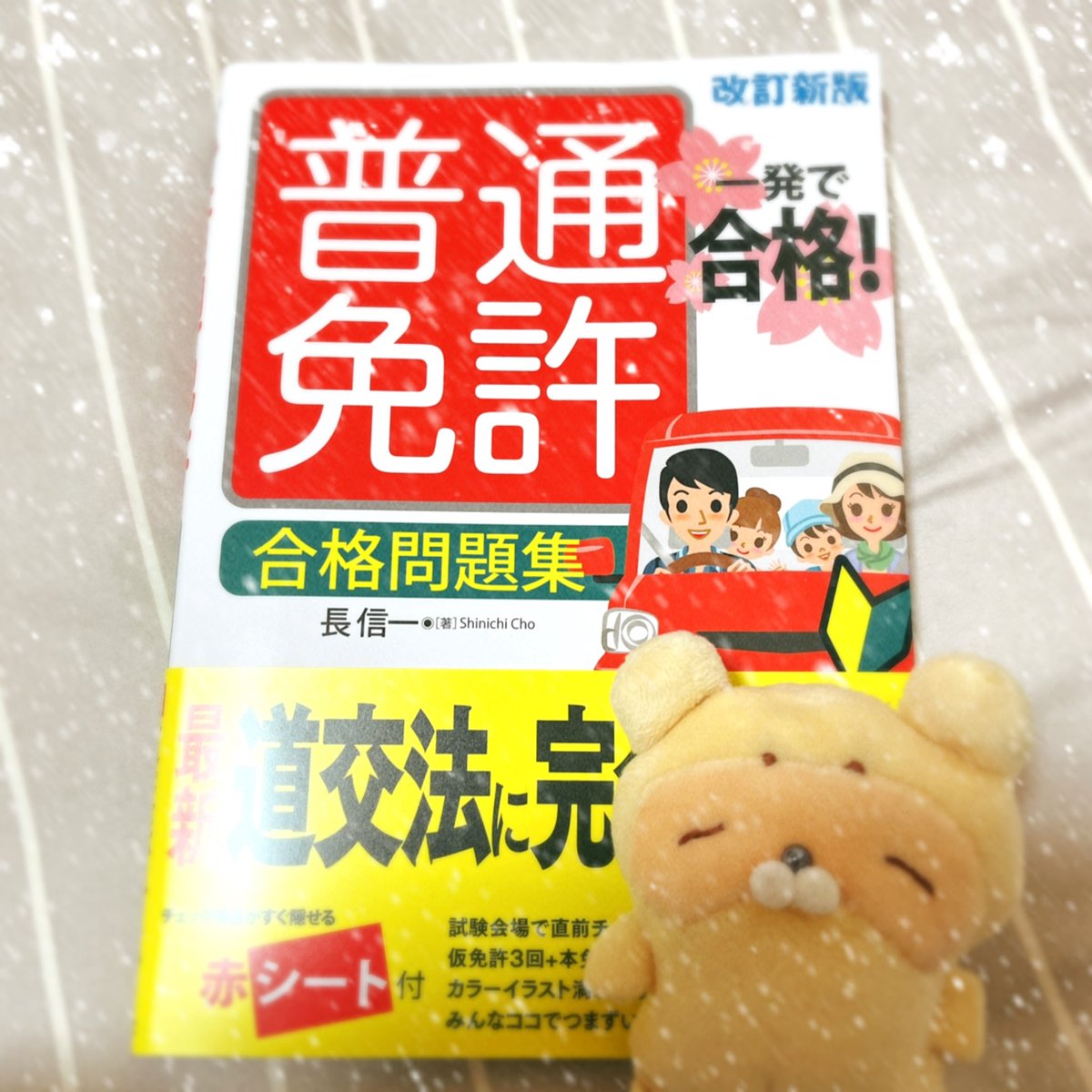 はい…やります…
