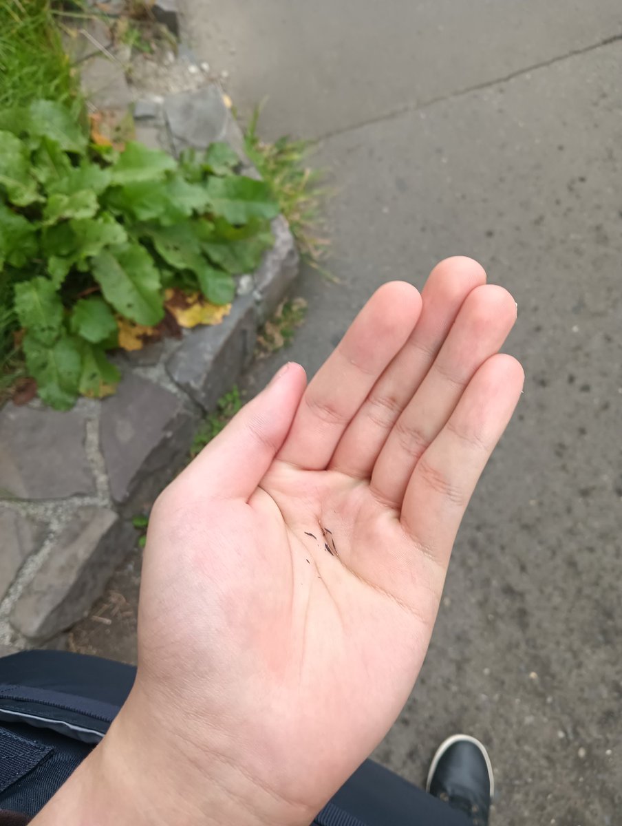 kumama_nui's tweet image. IPA試験のあと、消しカスってどうするのが正解なんですか？
握りしめたまま家についてしまったのですが……