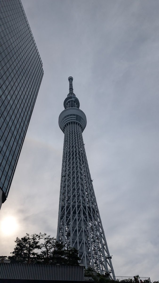 NML_maru_mari__'s tweet image. でかすぎる
俺よりでかい
