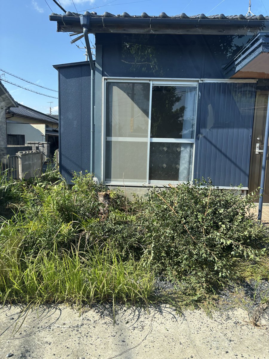 休みなので木を切って女装剤撒いた