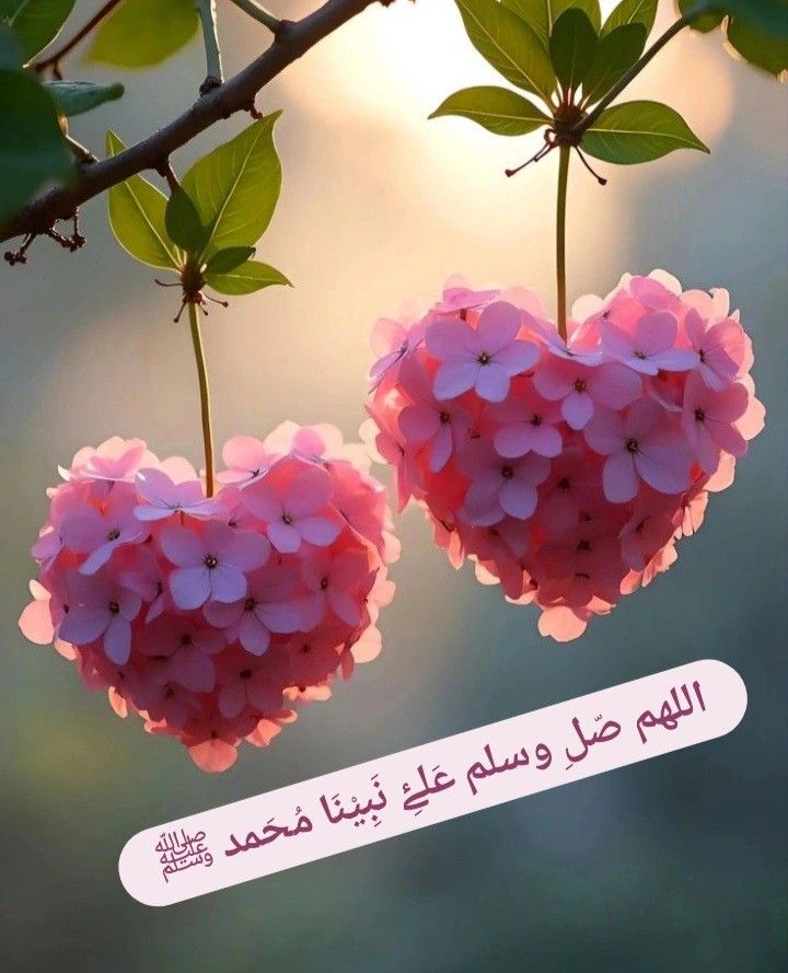 mes_sso's tweet image. صلّوا علىٰ من أحبنا حتىٰ قبل أن يَلقانا.🤎
#اللهم_صل_وسلم_على_نبينا_םבםבﷺ