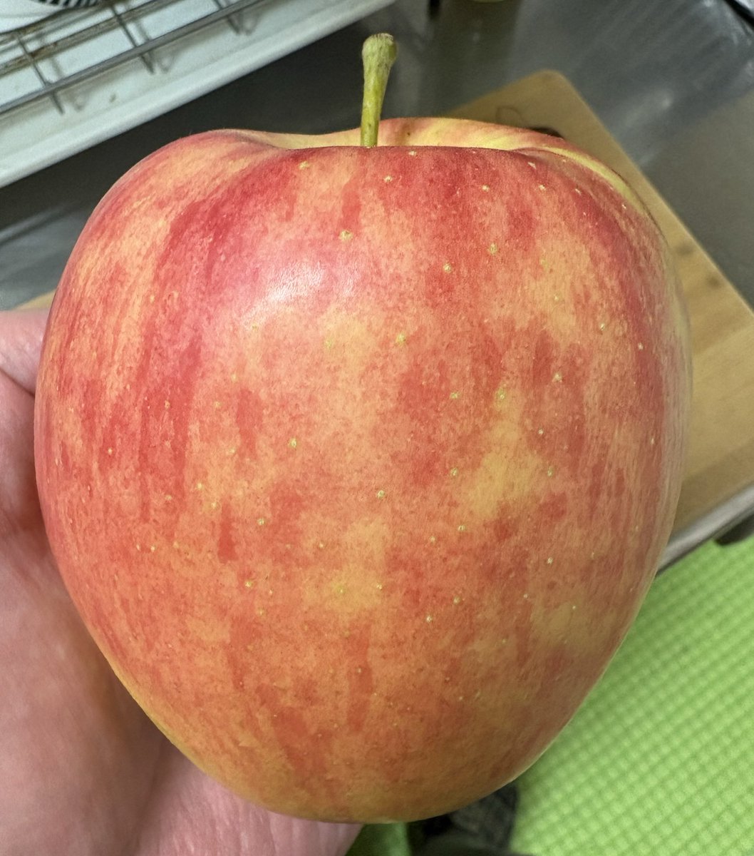 kinseiken_jp's tweet image. 芳醇な香りが特徴のシナノドルチェでアップルパイを焼きました。
加熱の工程が入る度に「あぁ!せっかくの香りが飛んでいく!勿体無い!」と胸が苦しくなりましたが、他のリンゴでは出せない繊細な味わいになり夢中で齧り付きました。
背徳的な行為が隠し味になるのもお菓子の醍醐味です。