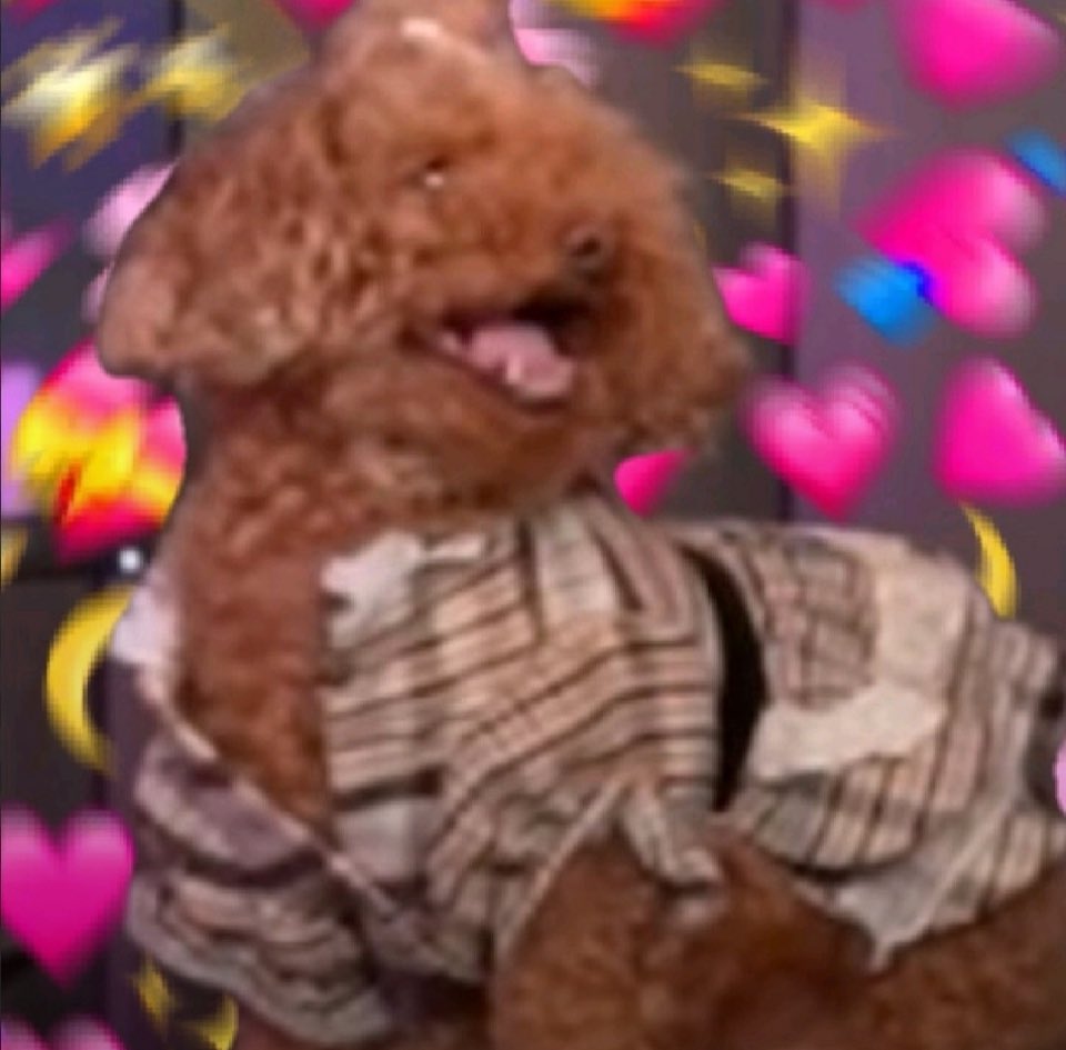 Yo viendo como está triunfando Aaron 😎 mientras los hater bien emperradillos jajaja
