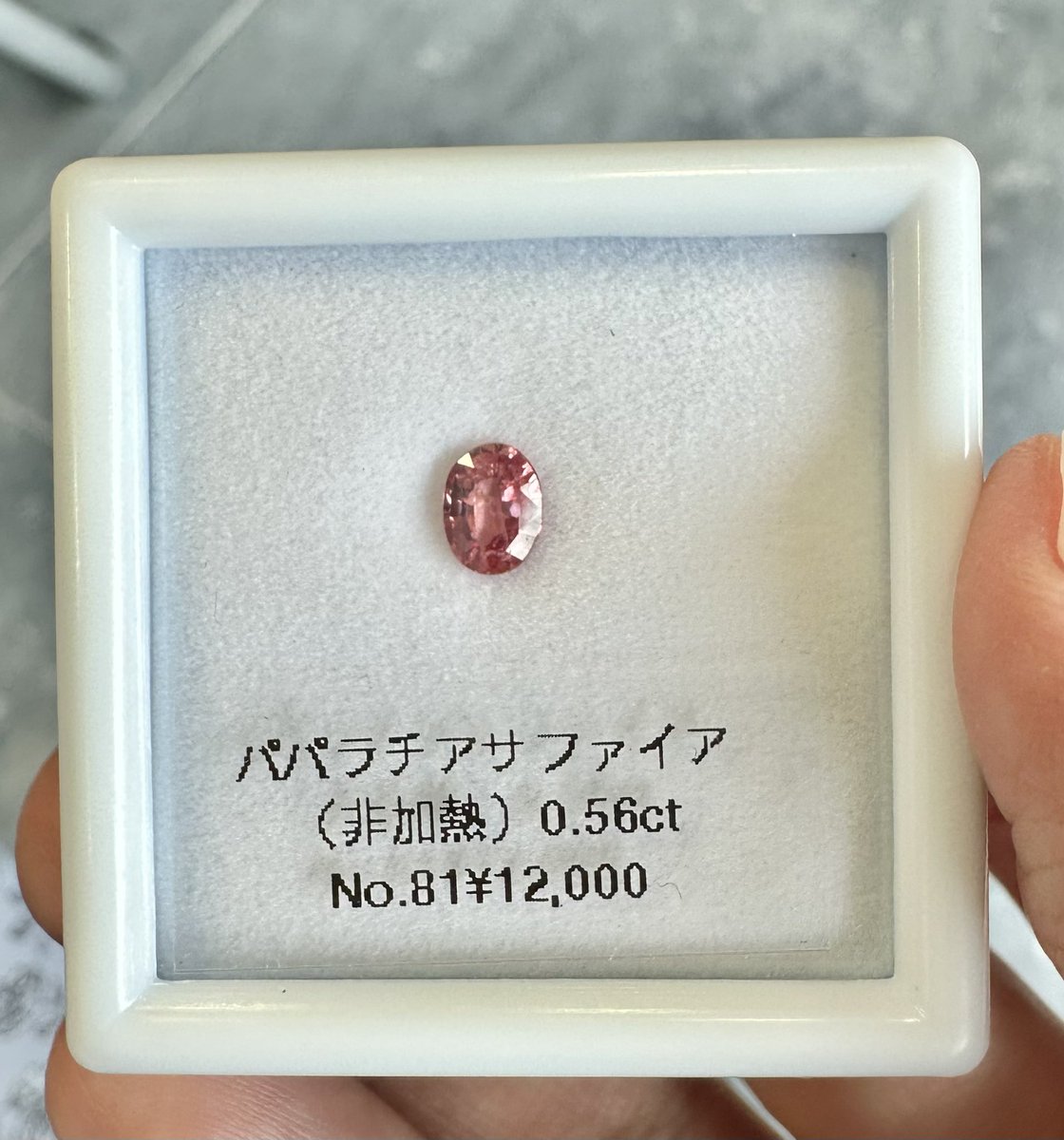 しまえなが🐤石禁したい tweet media