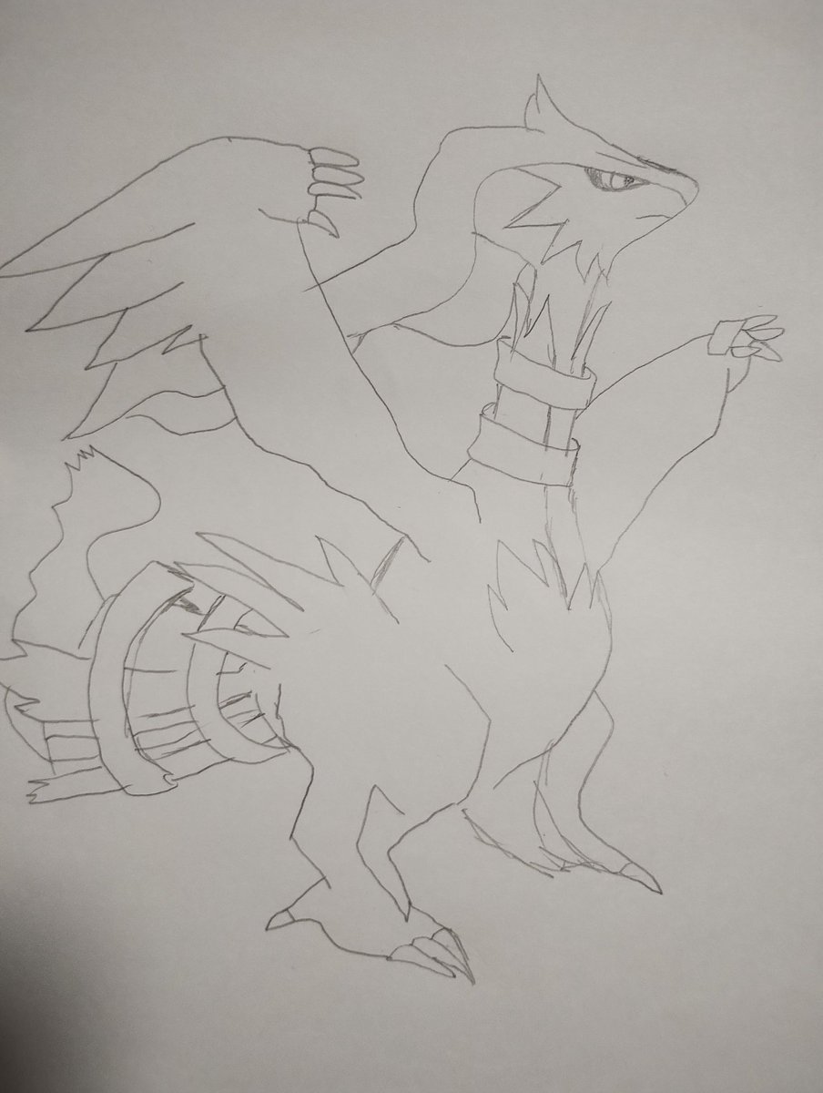 BFBc2ozOx8zWHuH's tweet image. #ポケモン
 #レシラム
 #絵
 #らくがき