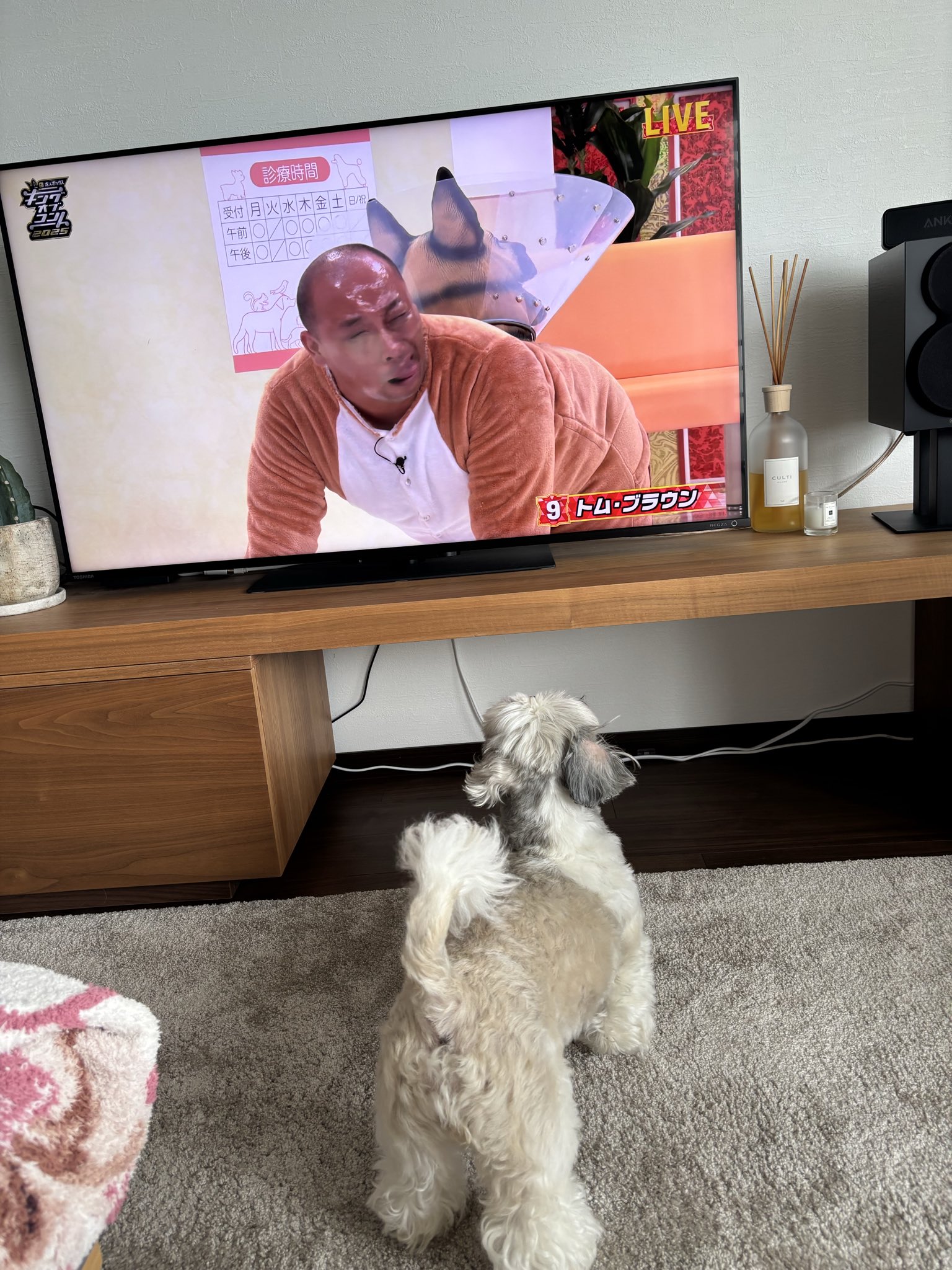 きぃ☆お値引きコメント大歓迎です⭐️ ひと息タイム 今日は✨横浜のお土産とコーヒー☕️で📺ゆっくり