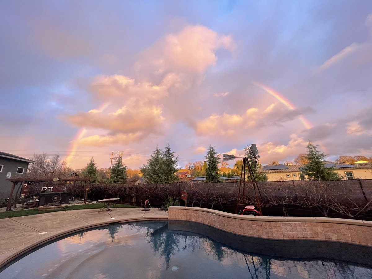 Johnnyred0418's tweet image. Not AI our backyard.