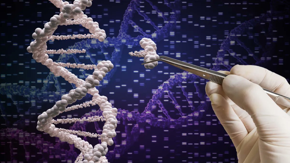 Analytics_699's tweet image. 💥 Prime Editing: to fix DNA with incredible accuracy, cutting harmful mistakes to almost zero. This process could make treatments for genetic diseases much safer ( MIT)▶️
#AI #MachineLearning #HealthIT #DigitalHealth #MedTwitter
sciencedaily.com/releases/2025/…