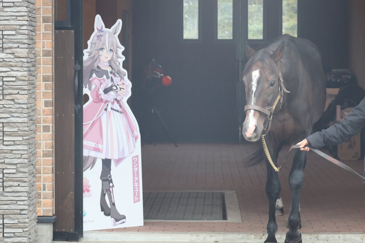 sametokaiuno's tweet image. アキュートさん、アキュートさんだよ※イベントにて撮影 #ワンダーアキュート