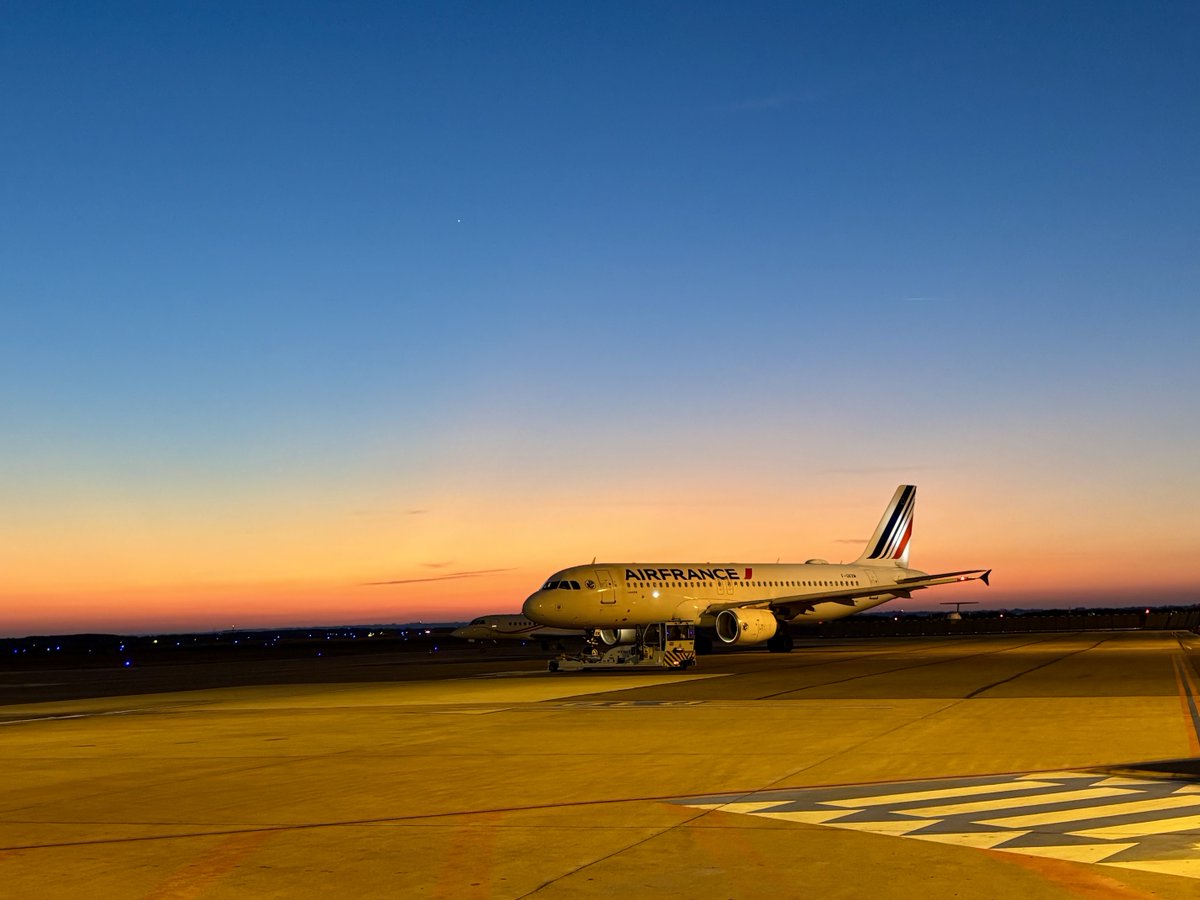 F.✈️⭐️ tweet media