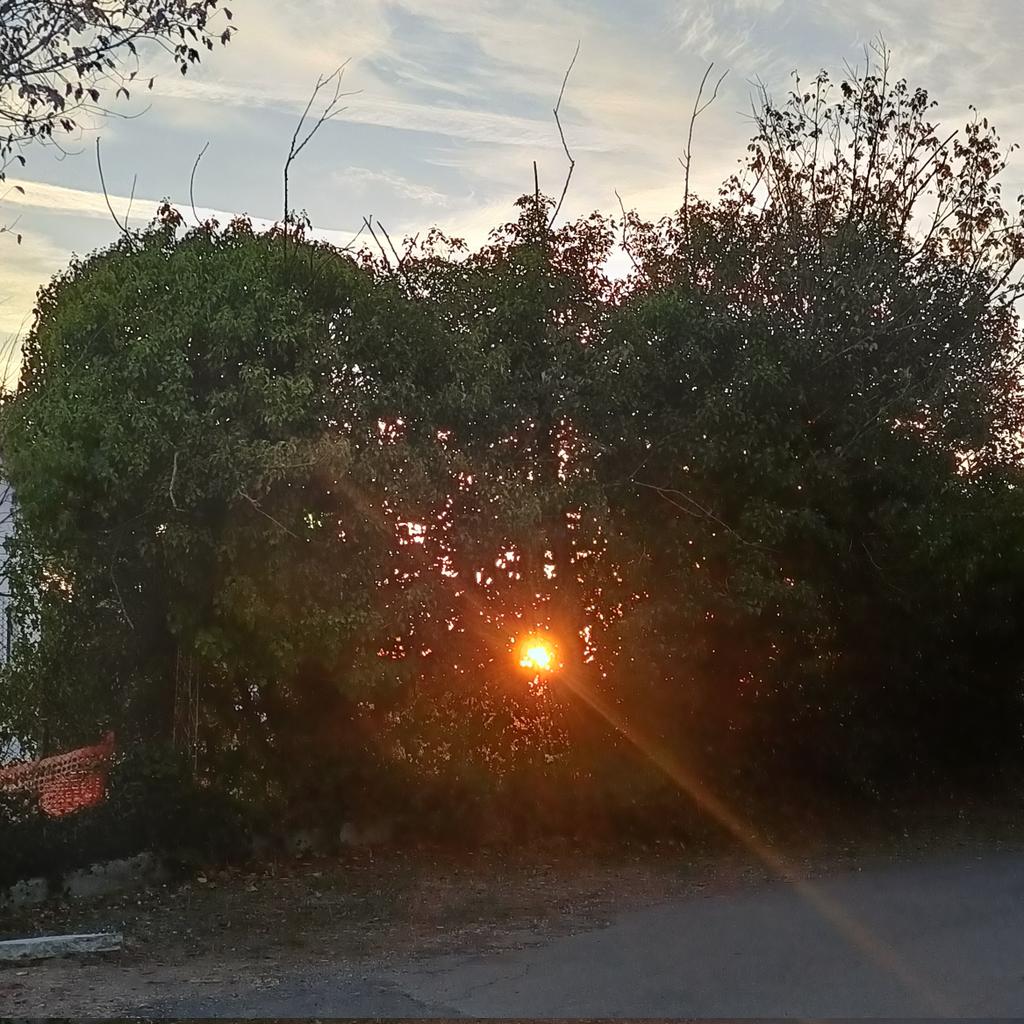 ZeroNodi's tweet image. Buongiorno di cuore e di sole ...
🌄🏃🏃
#runningtime