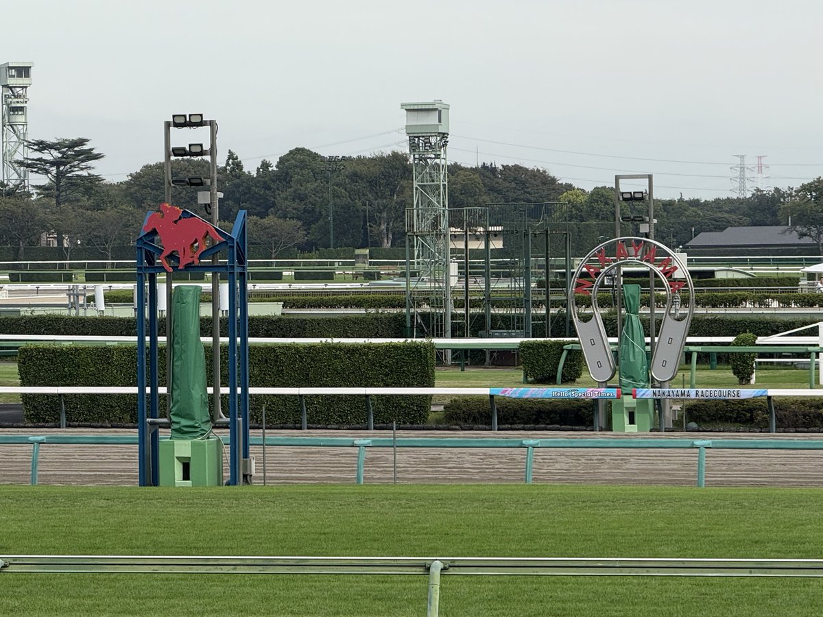 とてつもなく久しぶりに中山競馬場。
近くに所用あって待ち時間長めなので、散歩してますw
風が心地よい〜✨
そしてリアル馬券を久しぶりに買ったら1着4着ww