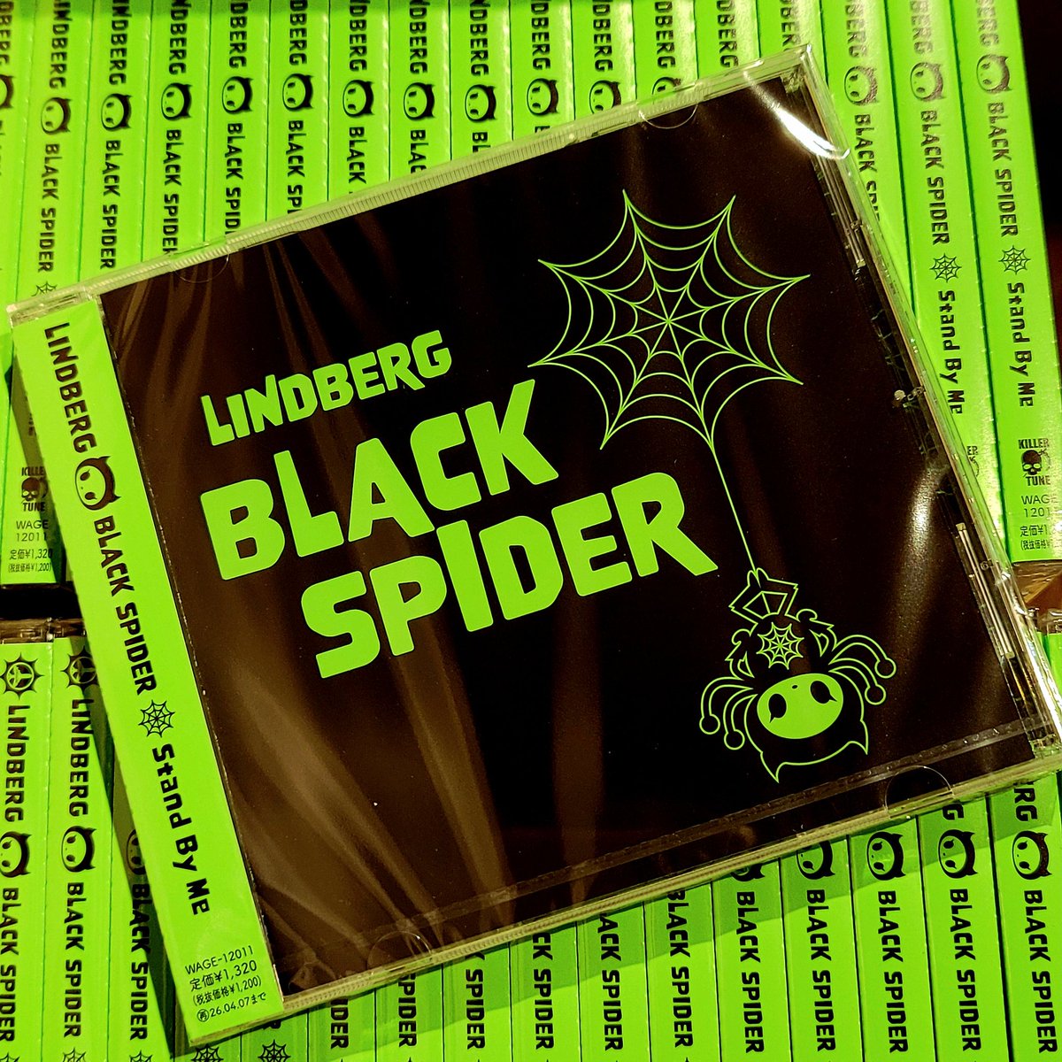 ✈︎ ✈︎ ✈︎ ✈︎ ✈︎ ✈︎ ✈︎ ✈︎ ✈︎ ✈︎ 𓂃✈︎ LINDBERG