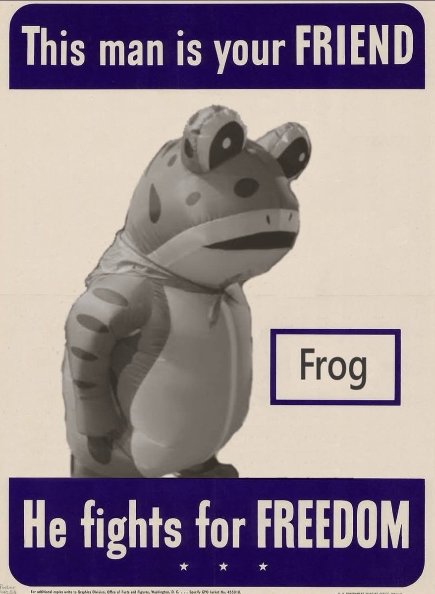 EverProactive's tweet image. Americans vs. you fascist Nazis. Yeah. We know.
#FreedomFrog