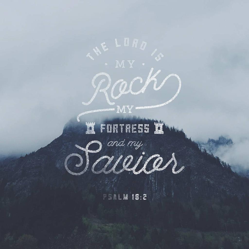 bible.com/verse-of-the-d…