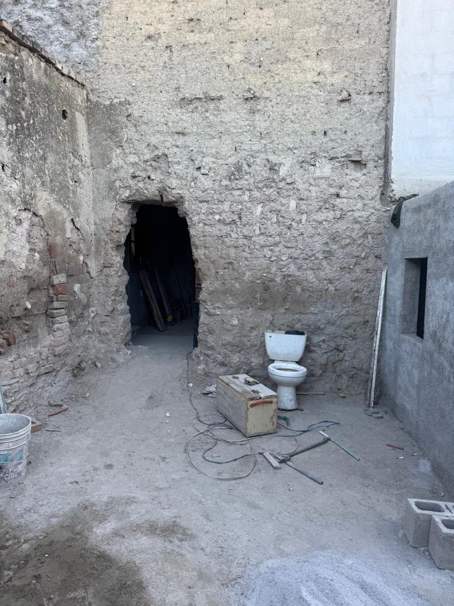 Camelia Muñoz tweet media