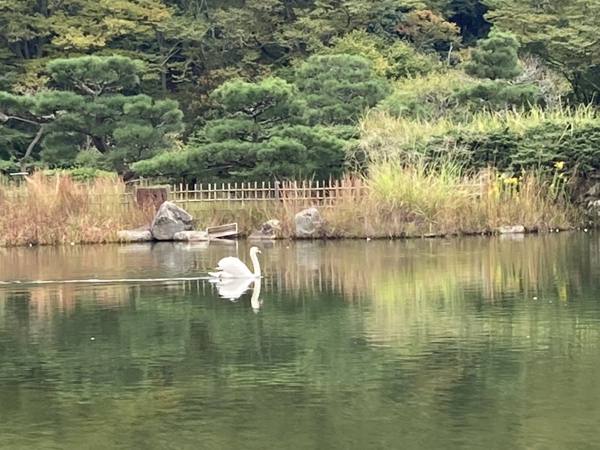 か、かわいすぎる
