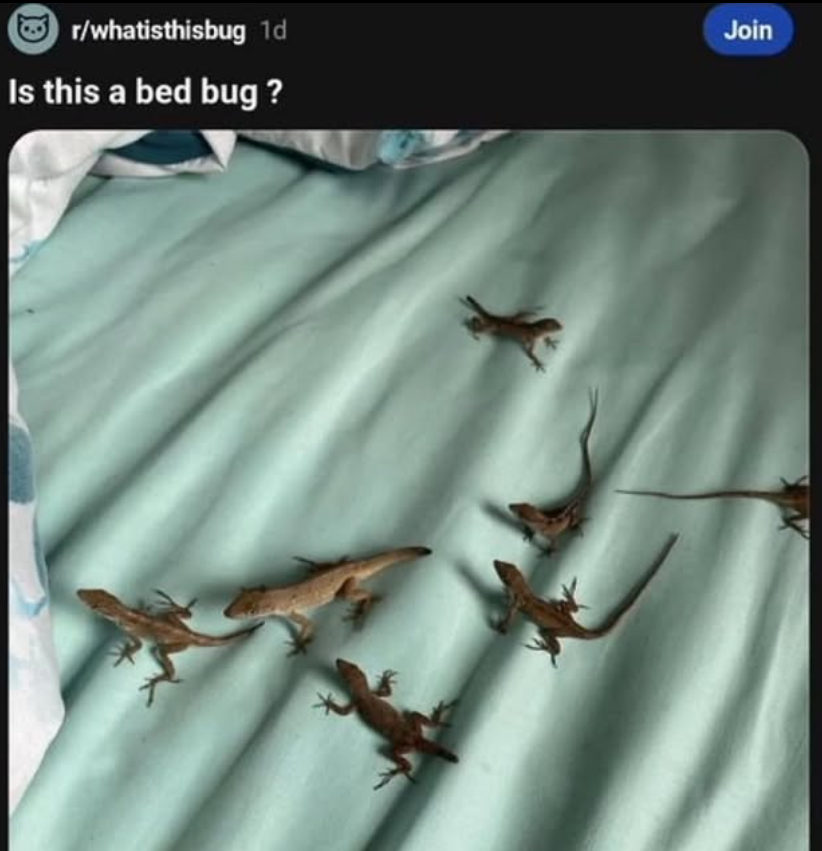 Shitpost 2077 (@shitpost_2077) on Twitter photo 