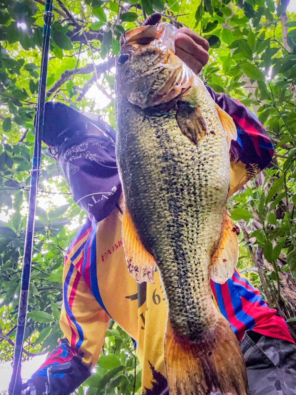 ちゃぺ スケベンジャーズ レッド (@XnrYPo96j9WTD9k) / X