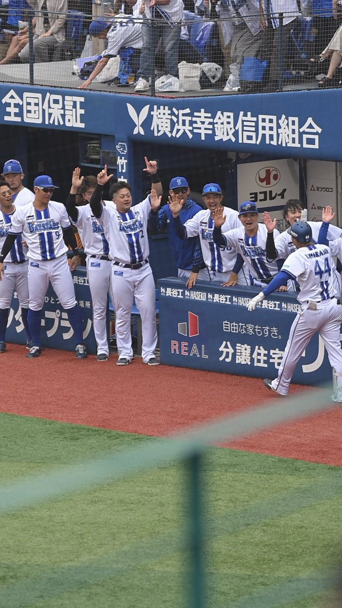 pirahu_rancham's tweet image. こんなことある？🥹石上くんの3ランホームランで振り出しに戻るよく打った👏

2025/10/12
#baystars #石上泰輝