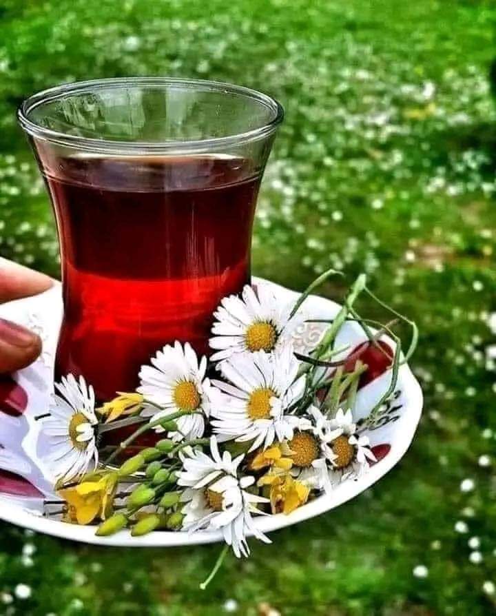 Hamdullahkilch's tweet photo. •••
"Huzur dolu bir gün.
diliyorum,kalbinizdeki. tüm güzellikler hayatınıza yansısın. dostlar. 

Hayırlı sabahlar ☕
   🌼 Mutlu pazarlar🌼 https://t.co/p3GIyoL7HF
