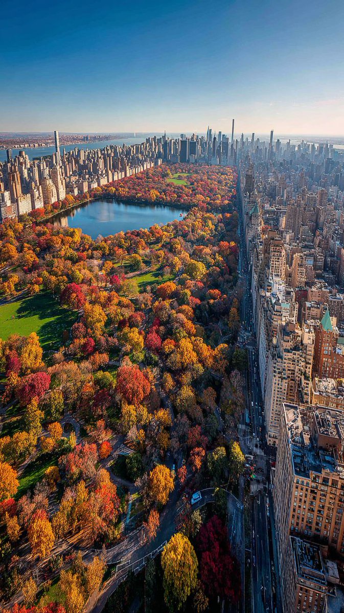 naturebeauty760's tweet photo. Central Park, New York 🇺🇸 https://t.co/lpvG4hF5Jz