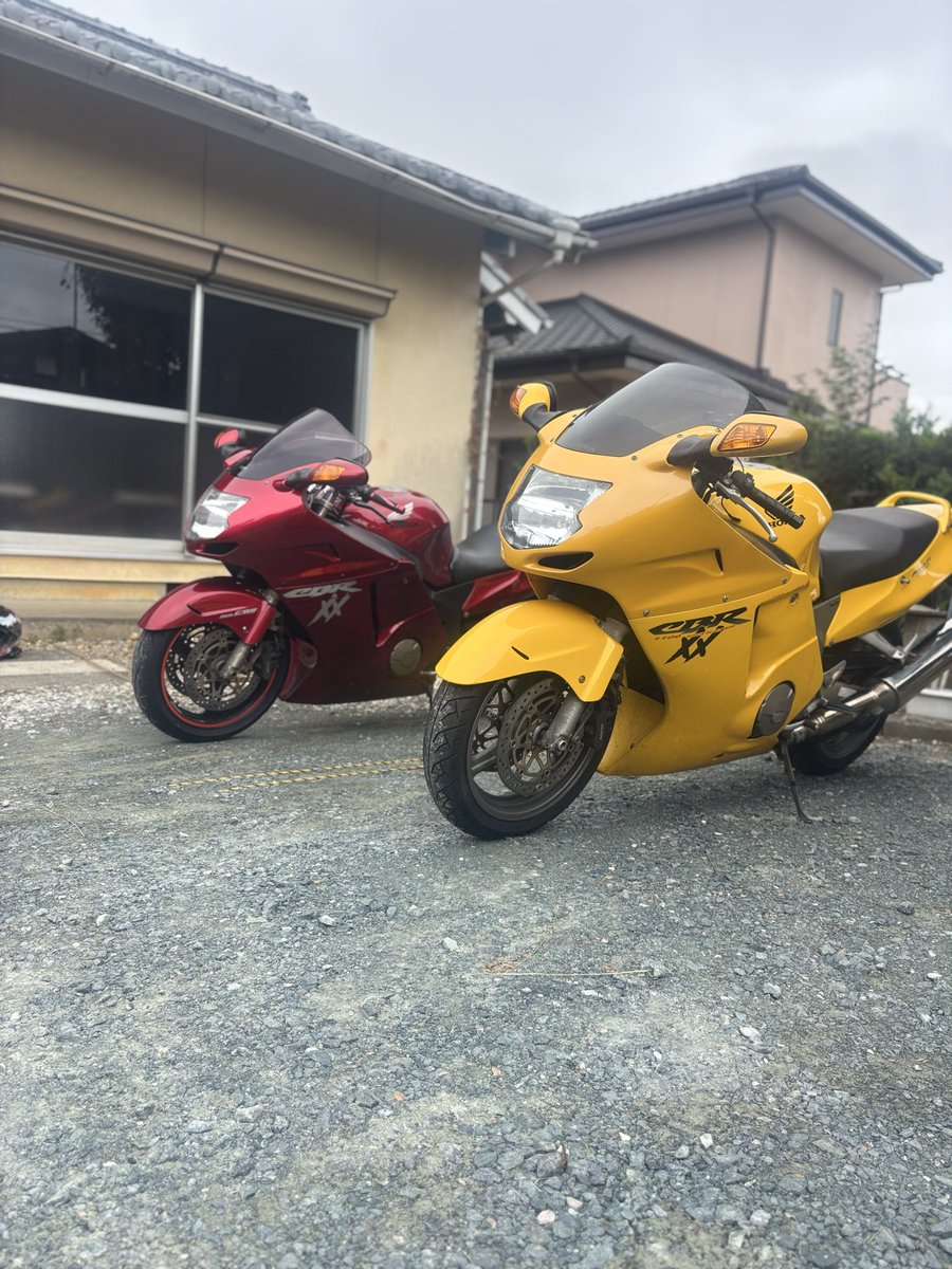 Napo0412's tweet photo. 珈琲BLACK BIRD行ったら
なんと黄色のバードに会いました！
黄色めっちゃカッコイイ笑 https://t.co/QoCRdBxCnL