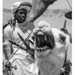 Photo by Islamane Abdou (@islamane)