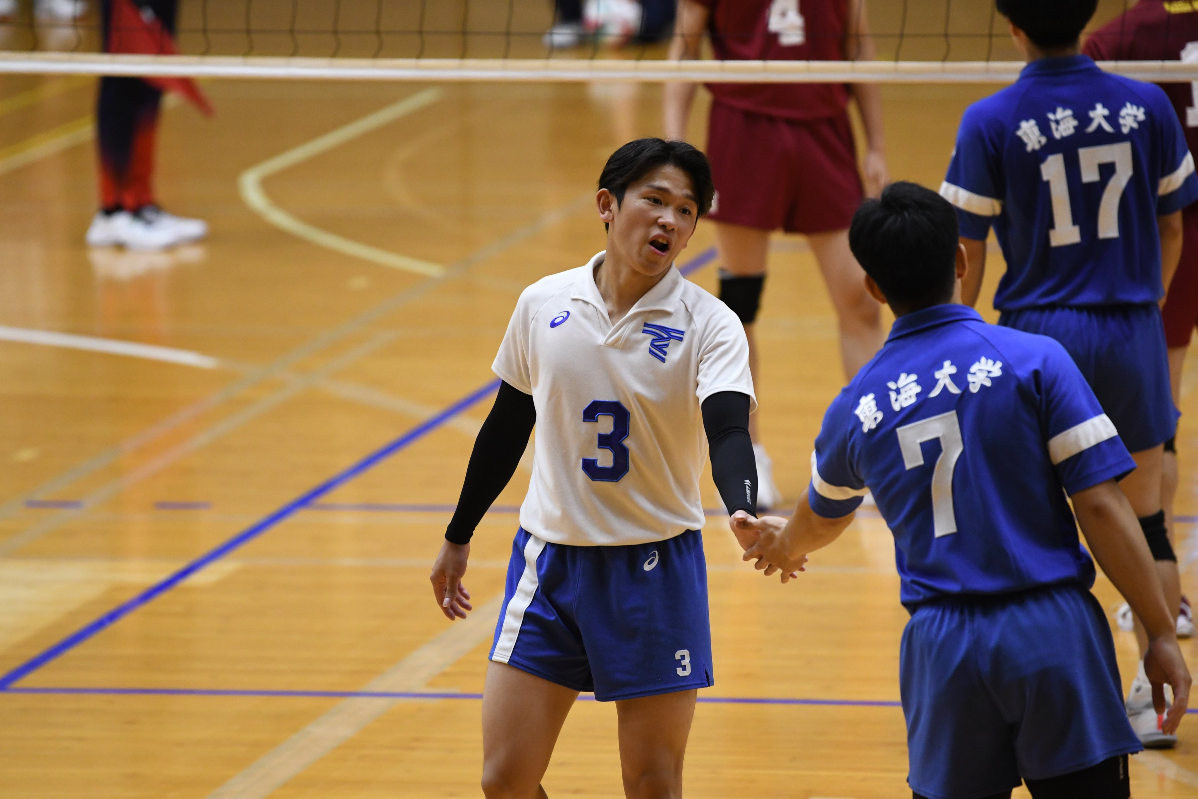 東海大学バレーボール部ポロシャツ 東海大学T-WAVE ウェブショップ / 東海大学ボタンダウンポロシャツ