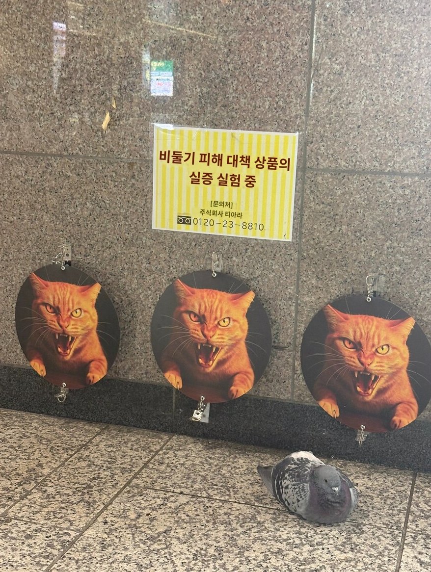 신제품 테스트 결과