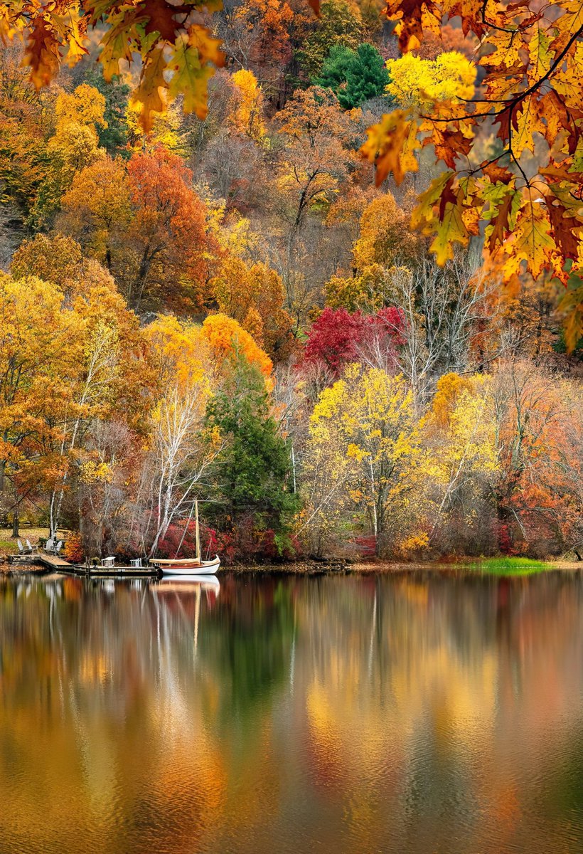 Scenic autumn colour spectrum from green to red is reflecting on a lake in New Hampshire, New England, US  🇺🇸