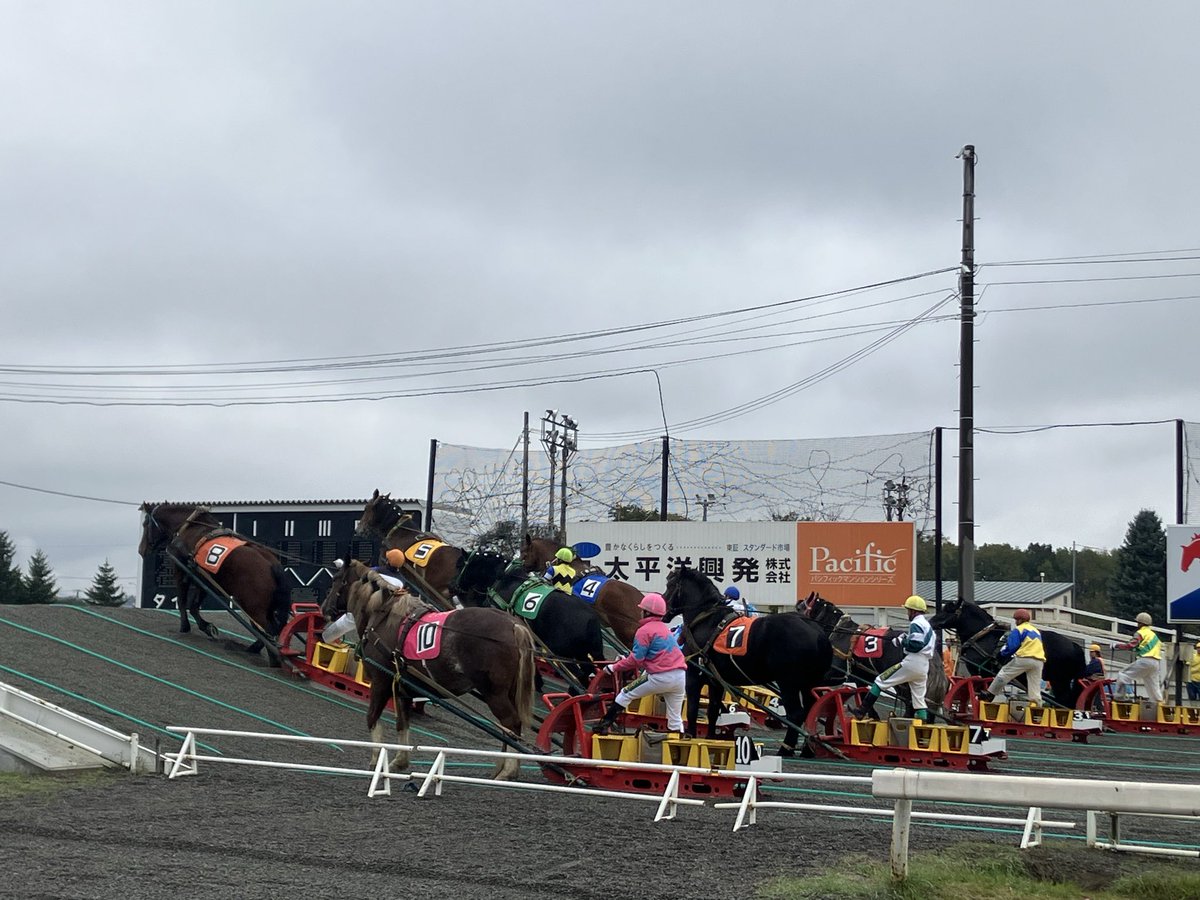Octopus0's tweet photo. 北海道旅行代稼がなきゃ・・・ https://t.co/OzCPOFC8Kb