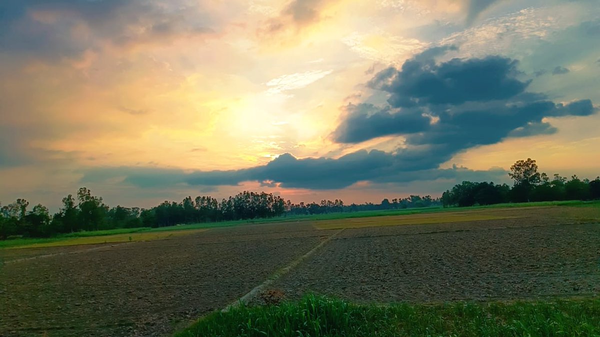 Shashwat_web3's tweet image. POV: When grandpa diversified in acres, not assets.