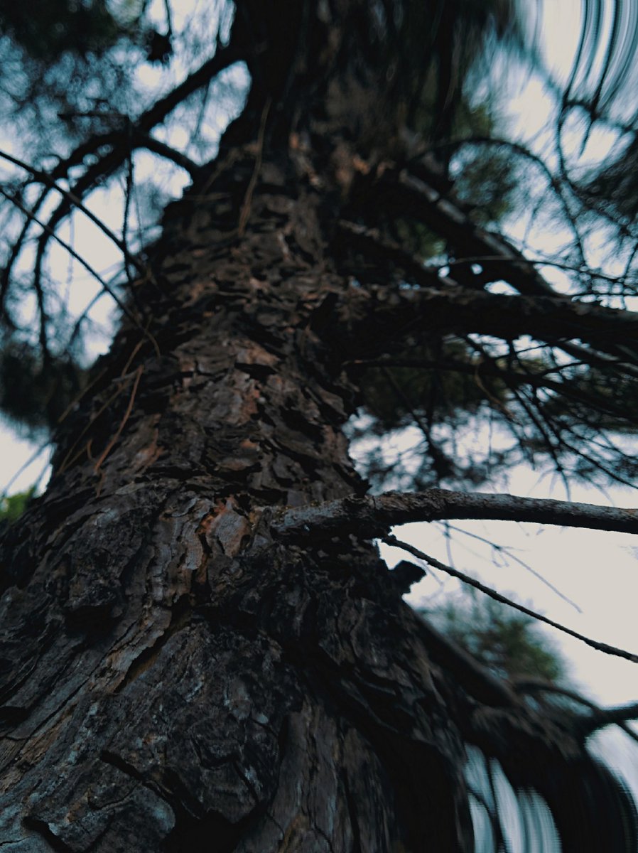 slade_core's tweet image. Here now

#abstract #photography #experiment