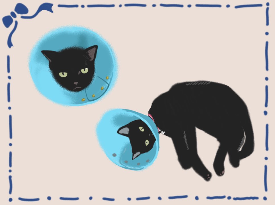 eioyui's tweet photo. 🐈‍⬛ https://t.co/pNmloefuaJ
