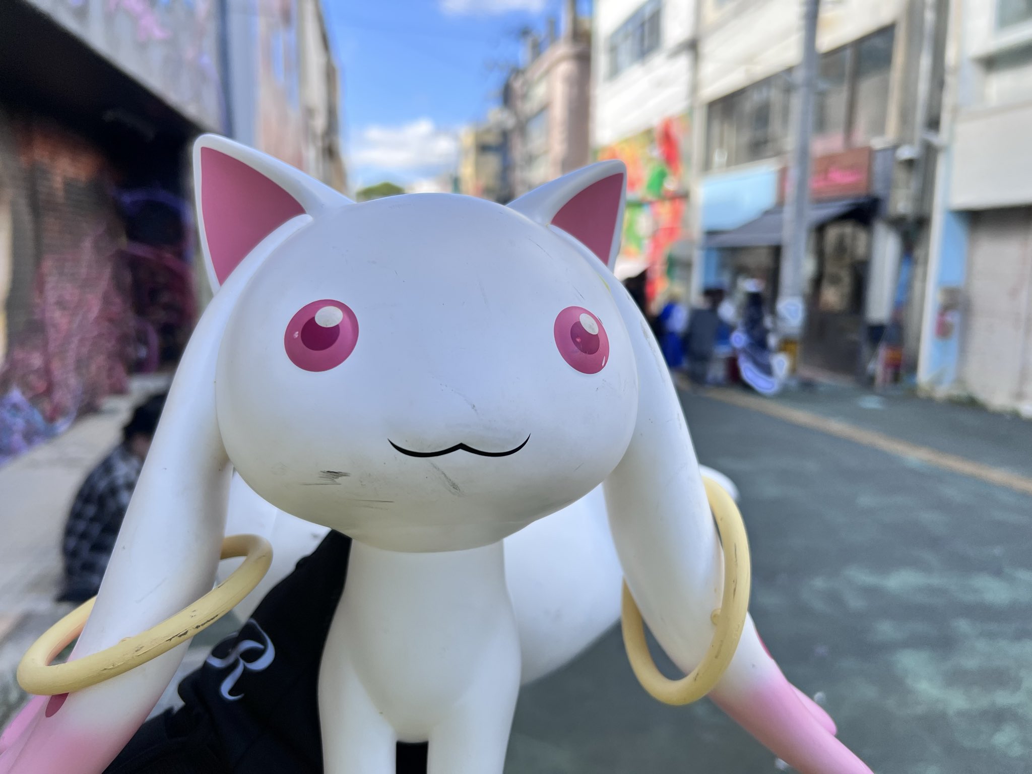 Steps 猫蟹丸 猫蟹丸@11月まで確定分埋まりました、シフト出たら調整出来ます on X