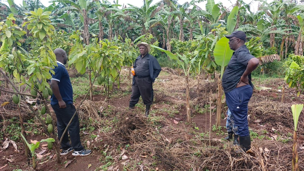 AndrewByakutaga's tweet image. Yesterday 11th October 2025, my wife and I were honored to host Monsgnor Robert Mugisa Abooki, the Vicar General of Hoima Catholic Diocese together with his Assistant Fr. Kyeyune Amooti at our home. We discussed ways of mobilizing our people to improve household incomes majorly…