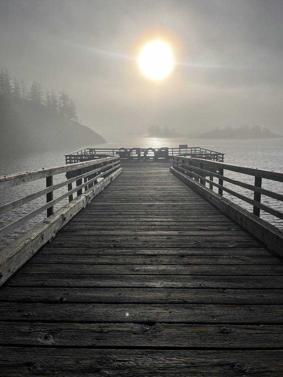 eviojanen's tweet photo. Morning mist ... https://t.co/SbwVsrDKqu