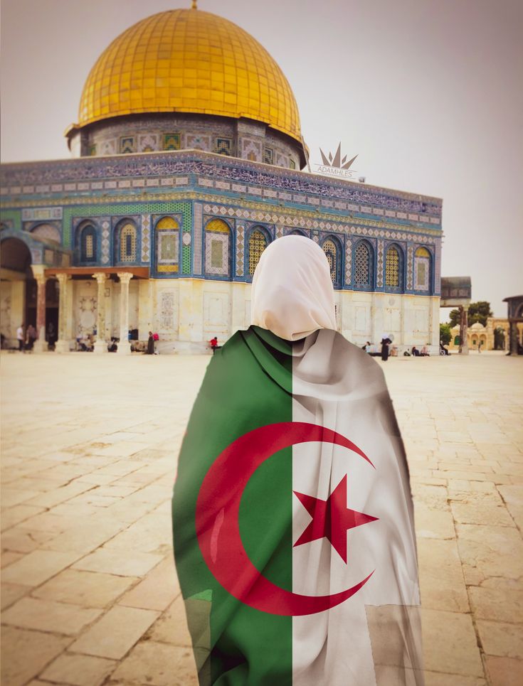 RamziMalki95023's tweet image. السلام عليكم صباح المقاومة وإنه لجهاد✌ أو الاستشهاد أنا لن اعلق على كلام خليل الحية فليسال اسلافه والجزائر لا تنتظر لا جزاءا ولا شكورا سوف أرد على الجاليات المتواجدة في 🇩🇿 والموالية لبعض الدول يدافعون على كل الدول ولكن لا يدافعون على 🇩🇿 العالم كله يعرف موقف 🇩🇿 والدليل في ONU